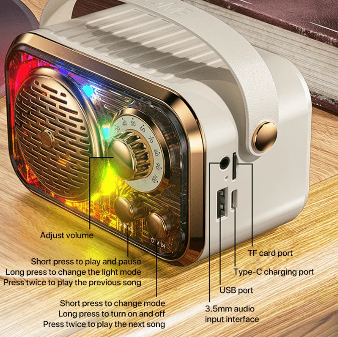 Karaoke Wireless Bluetooth Speaker